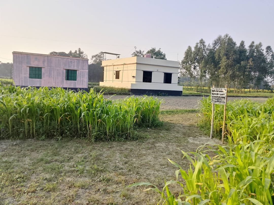 2 Katha Plots at Affordable Rates in Keraniganj